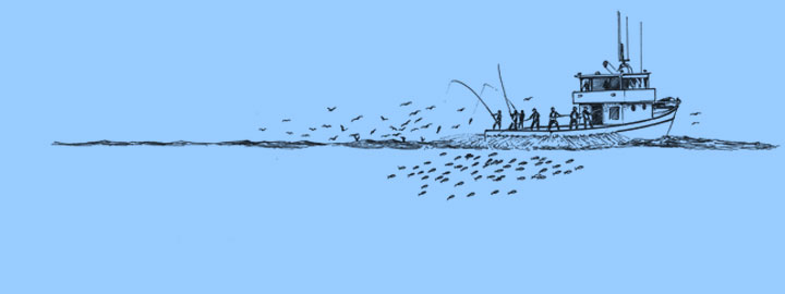 Hawaii Pole & Line Fishing